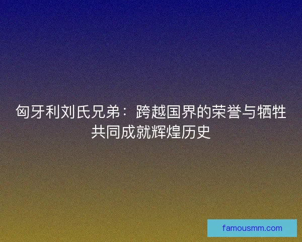 匈牙利刘氏兄弟：跨越国界的荣誉与牺牲共同成就辉煌历史