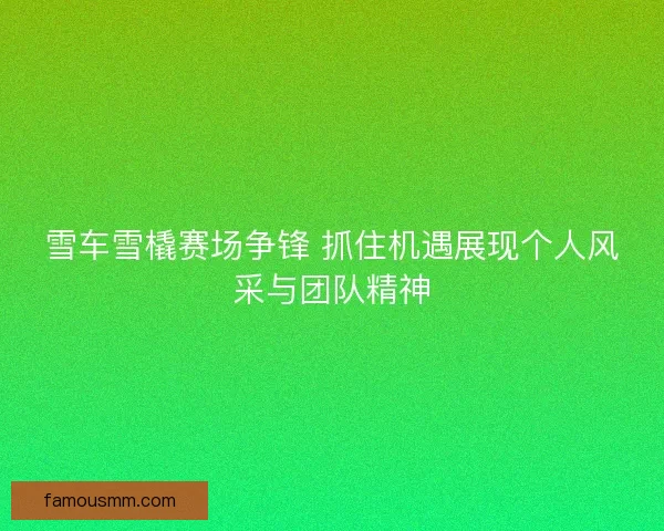 雪车雪橇赛场争锋 抓住机遇展现个人风采与团队精神 雪车雪橇赛场争锋 抓住机遇展现个人风采与团队精神
